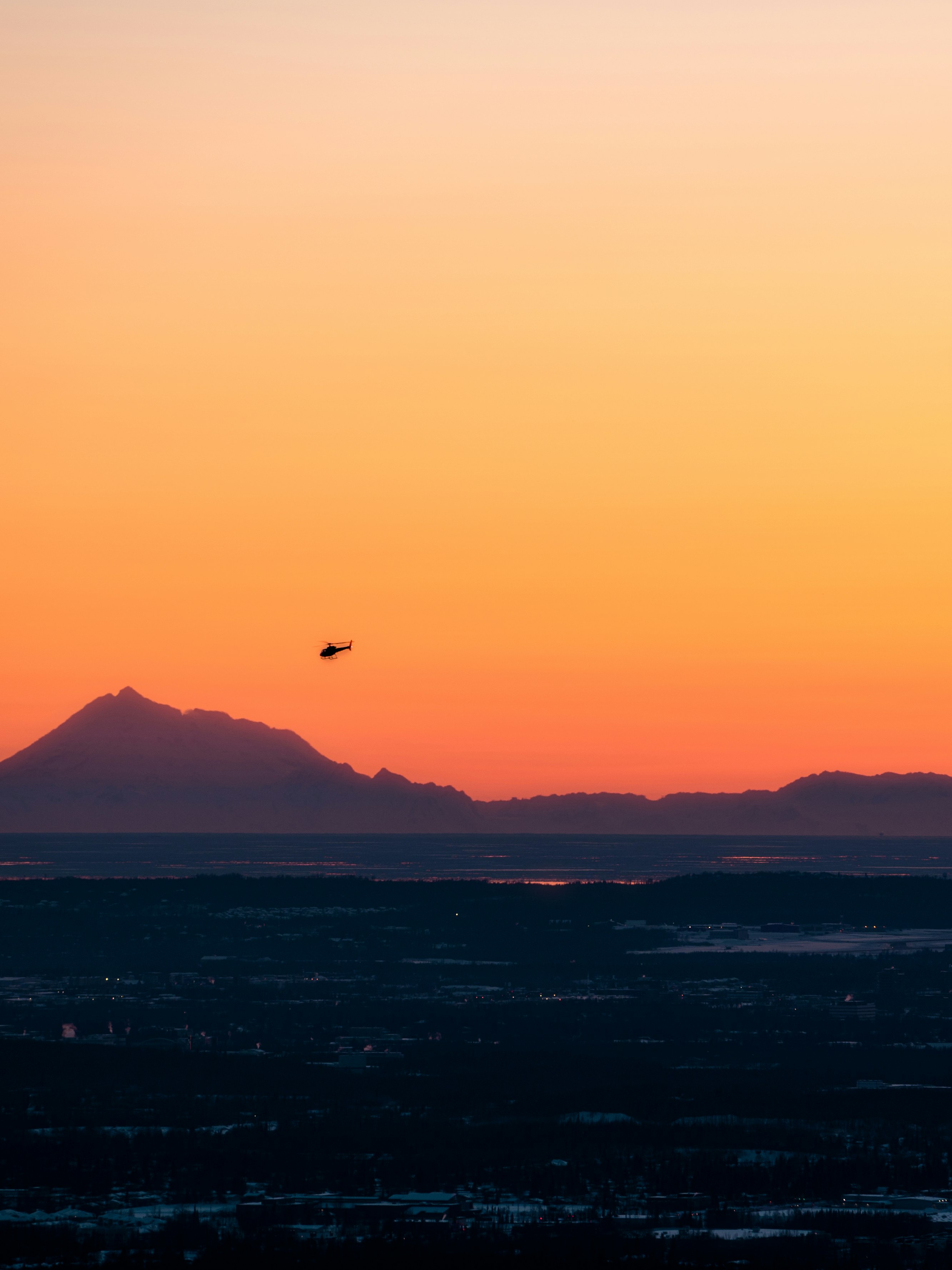 silhouette of bird flying over the sea during daytime